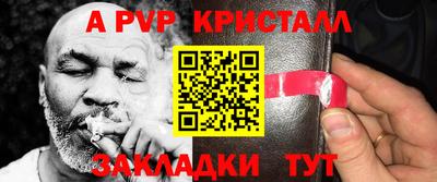 ECSTASY Кингисепп